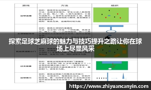 探索足球芝麻球的魅力与技巧提升之路让你在球场上尽显风采